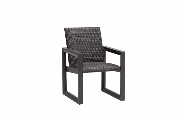 Bergen Dining Arm Chair